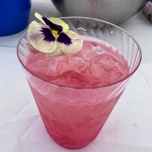 A watermelon mojito cocktail with pansy garnish