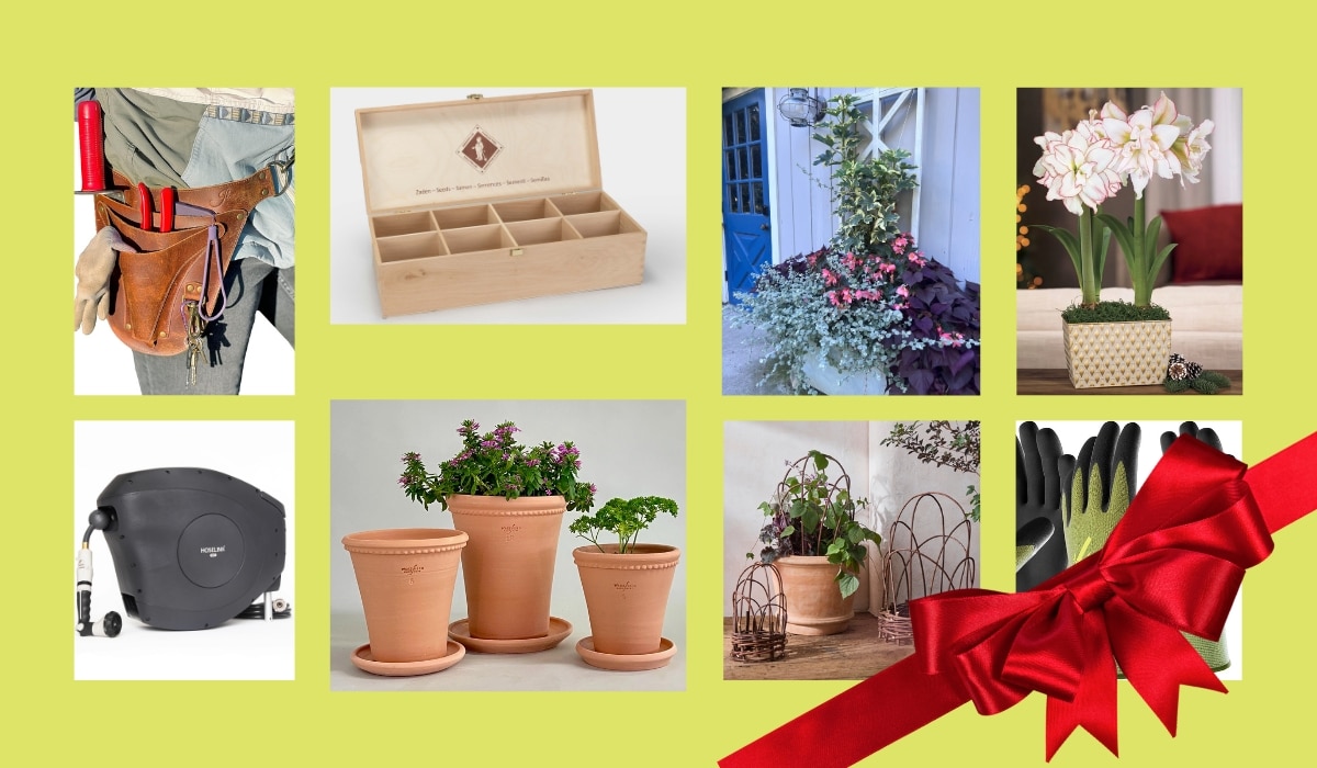 Valentine's Gifts for Gardeners