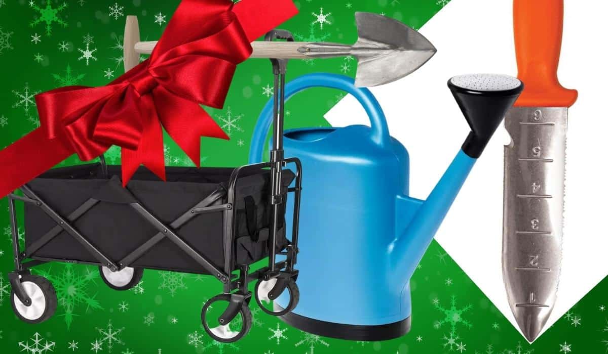 Gifts for gardeners: The very best tools