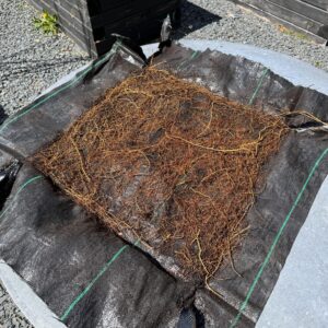 landscape fabric covered in roots