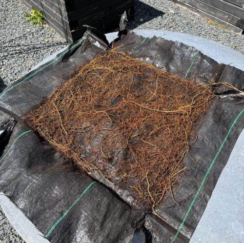 landscape fabric covered in roots